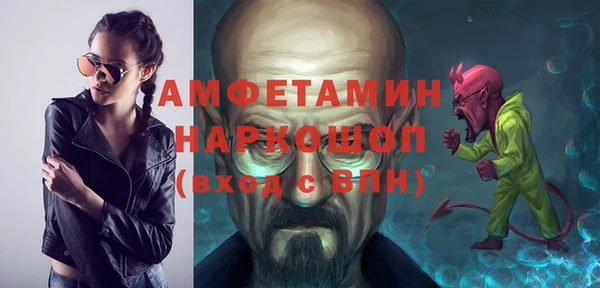 индика Богородицк