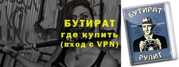 индика Богородицк