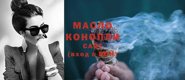 индика Богородицк