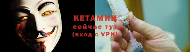 индика Богородицк