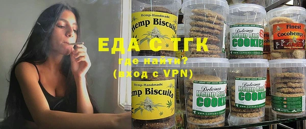 индика Богородицк