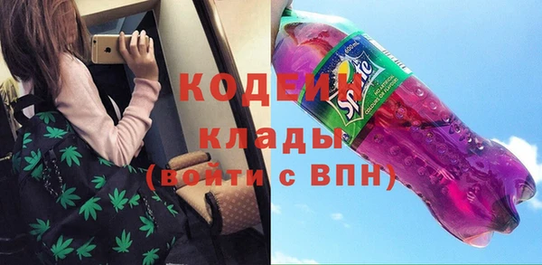 индика Богородицк