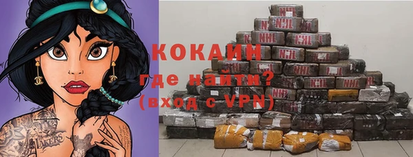индика Богородицк
