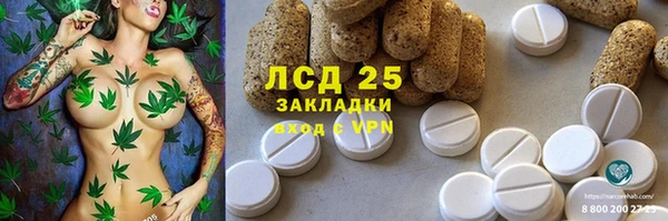 индика Богородицк