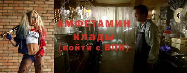 индика Богородицк