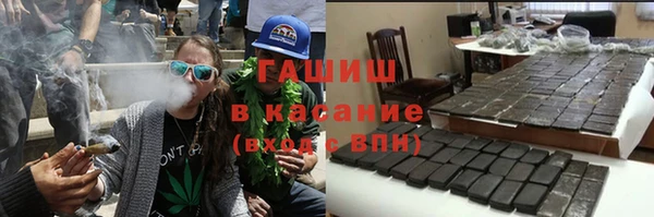 индика Богородицк